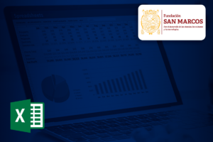 Excel Profesional
