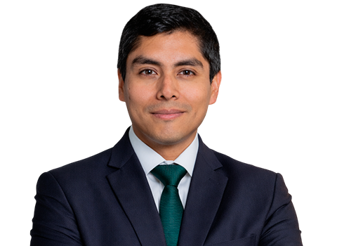 profesor Frank Casas Sulca